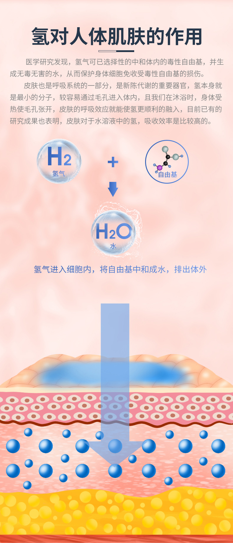 富氢花洒(图5)